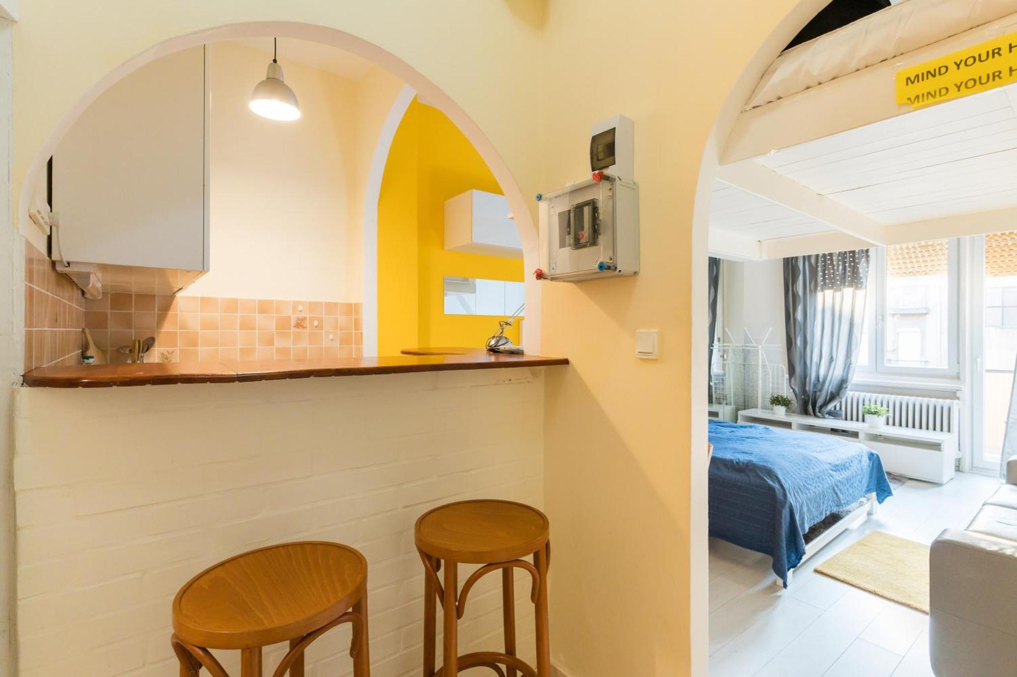Sunny Studio With Balcony In Party District 布达佩斯 外观 照片